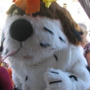 Maxipes Fík 11.6. 2011