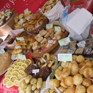 16.5.2009 - Egeria na zámku