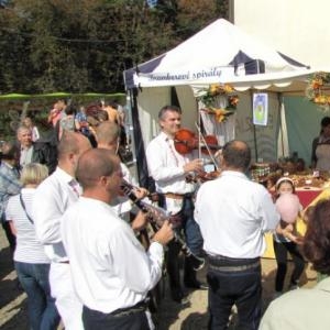 vinobrani2011